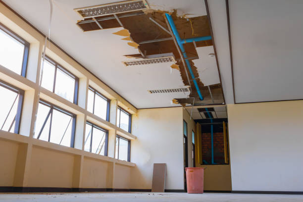Best Water damage repair service  in Andrews, SC