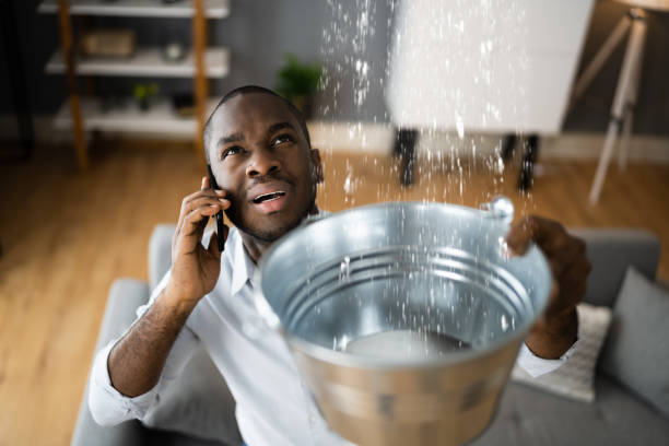 Best Residential water damage restoration  in Andrews, SC