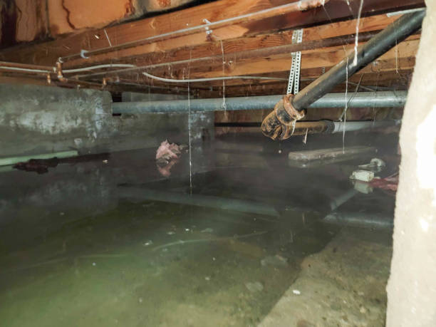 Best Commercial water damage restoration  in Andrews, SC