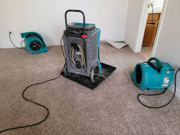 Best Local water damage restoration  in Andrews, SC