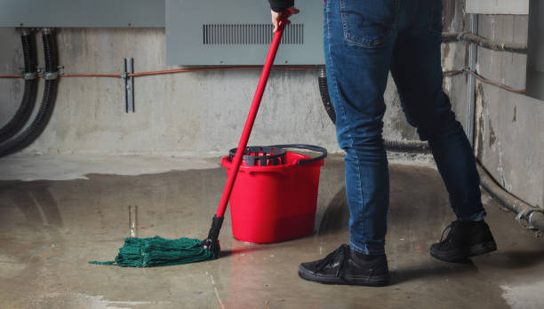 Best Ceiling water damage repair  in Andrews, SC