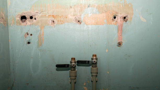 Best Water damage restoration services  in Andrews, SC