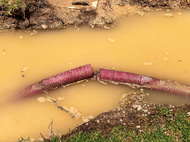 Best Carpet water damage restoration  in Andrews, SC