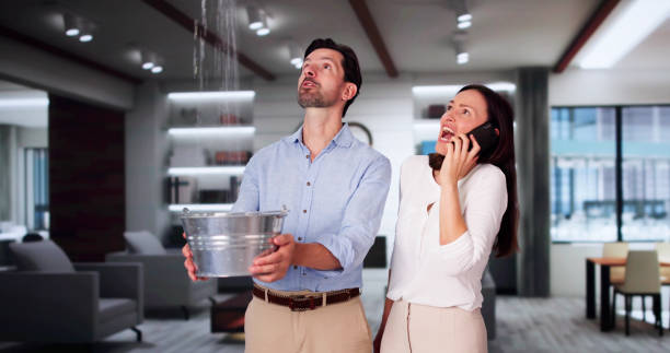 Best Water damage contractors near me  in Andrews, SC