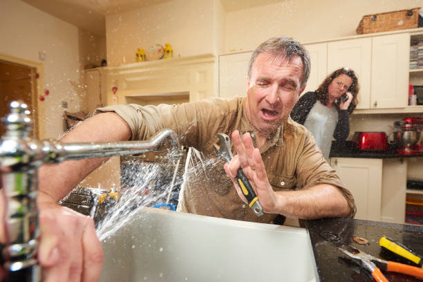 Best Carpet water damage restoration  in Andrews, SC